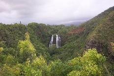 Falls