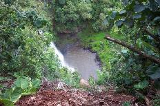 Falls